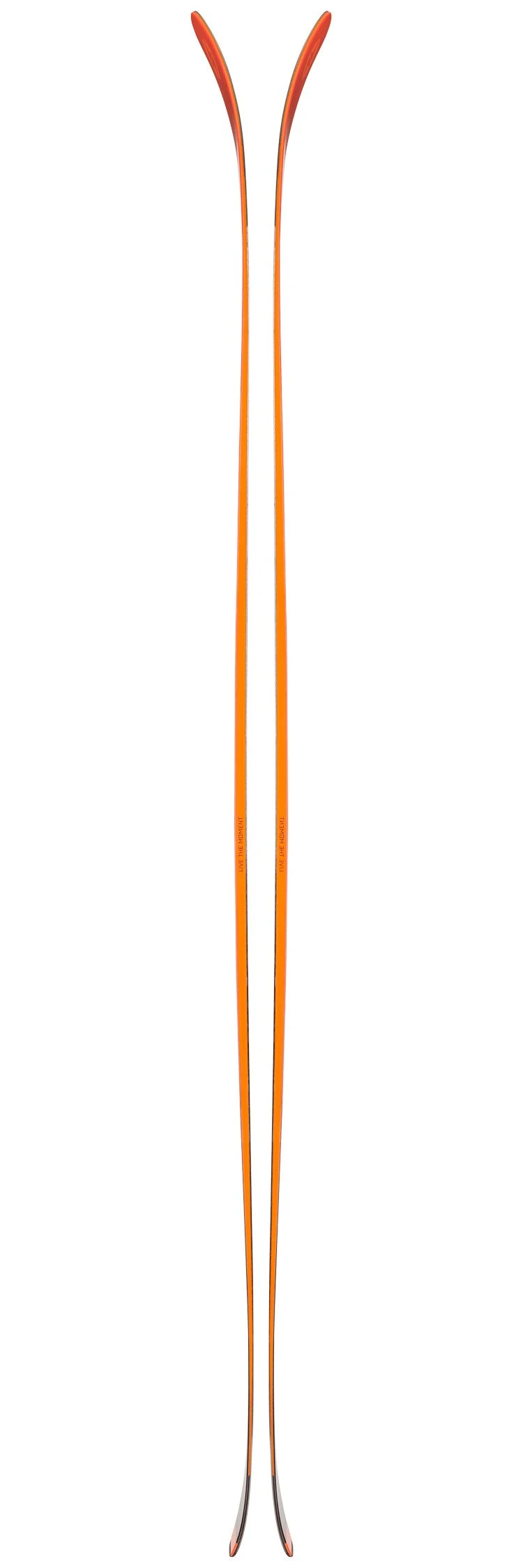 Ski Blizzard Hustle 10 6 Ski Blizzard Hustle 10 – Image 4