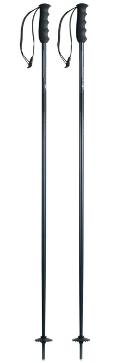 Bâton Nordica Alpine Ti