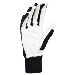 Gant Nordique Bjorn Daehlie Glove Race Black -Ski Équipement Boutique b82fde299f0aebde55960b9b22c9f114dd265344 H22BJORACC2217029 2