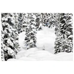 Planche Snowboard Lib Tech Golden Orca -Ski Équipement Boutique bafab7b47fb70eeb7978a6b162414bf9f4578c6a H23LIBTBOA266439 903