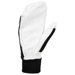 Gant Nordique Bjorn Daehlie Mitten Race Warm Black -Ski Équipement Boutique d156bf5be755b8e8b503f296d6e0b1329e6e6001 H22BJORACC2217032 2