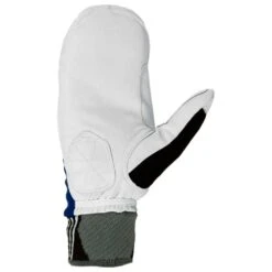 Gant Nordique Lill Sport Celsius Race Mitt Royal Blue -Ski Équipement Boutique e78067dbfe40a5c8eeff4479356478349ab83c0b VH20LILLACC006 1