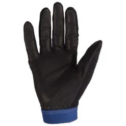 Gant Nordique Bjorn Daehlie Revolution Estate Blue 6 Gant Nordique Bjorn Daehlie Revolution Estate Blue -Ski Équipement Boutique f5a92cc459d14a88f7e98c78086ec58a30de1bd2 VH20BJORACC005 1